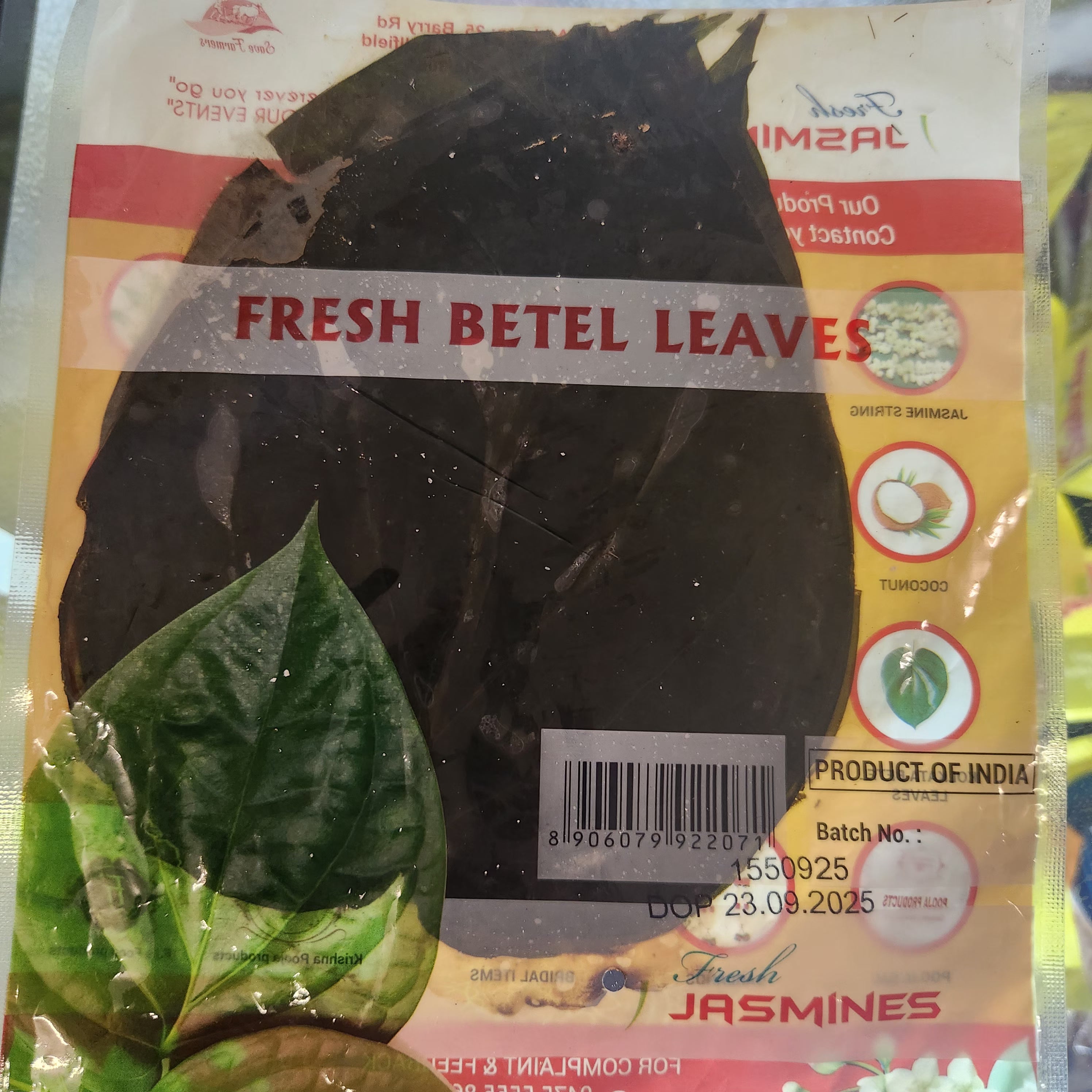 JASMINE FRESH BETEL LEAVES