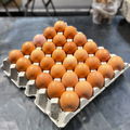 FREE RANGE EGGS 30 EGGS EACH TRAY