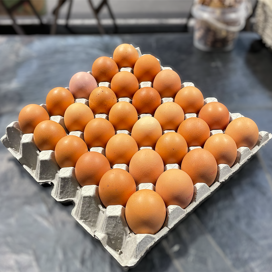FREE RANGE EGGS 30 EGGS EACH TRAY