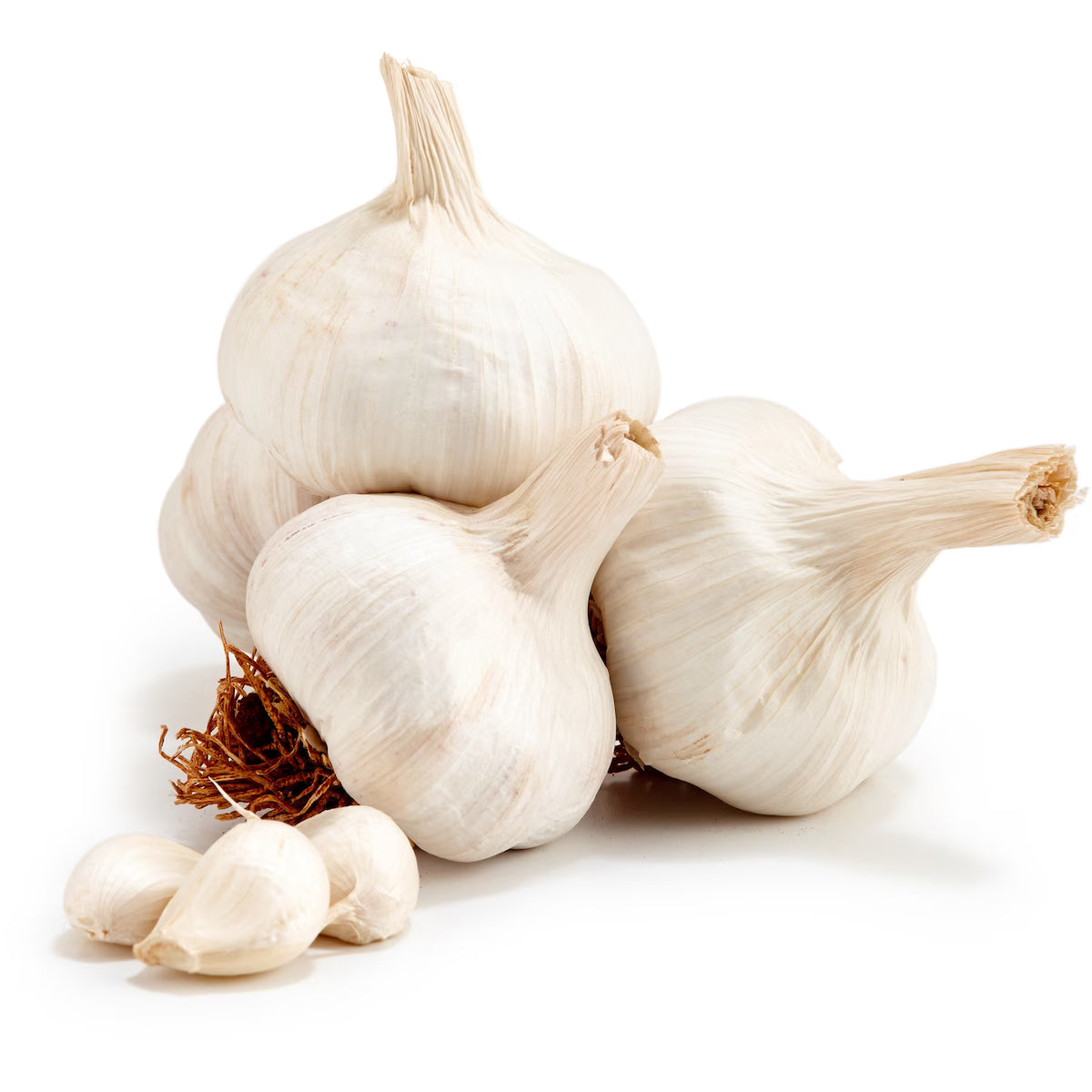 GARLIC WHOLE PER PIECE