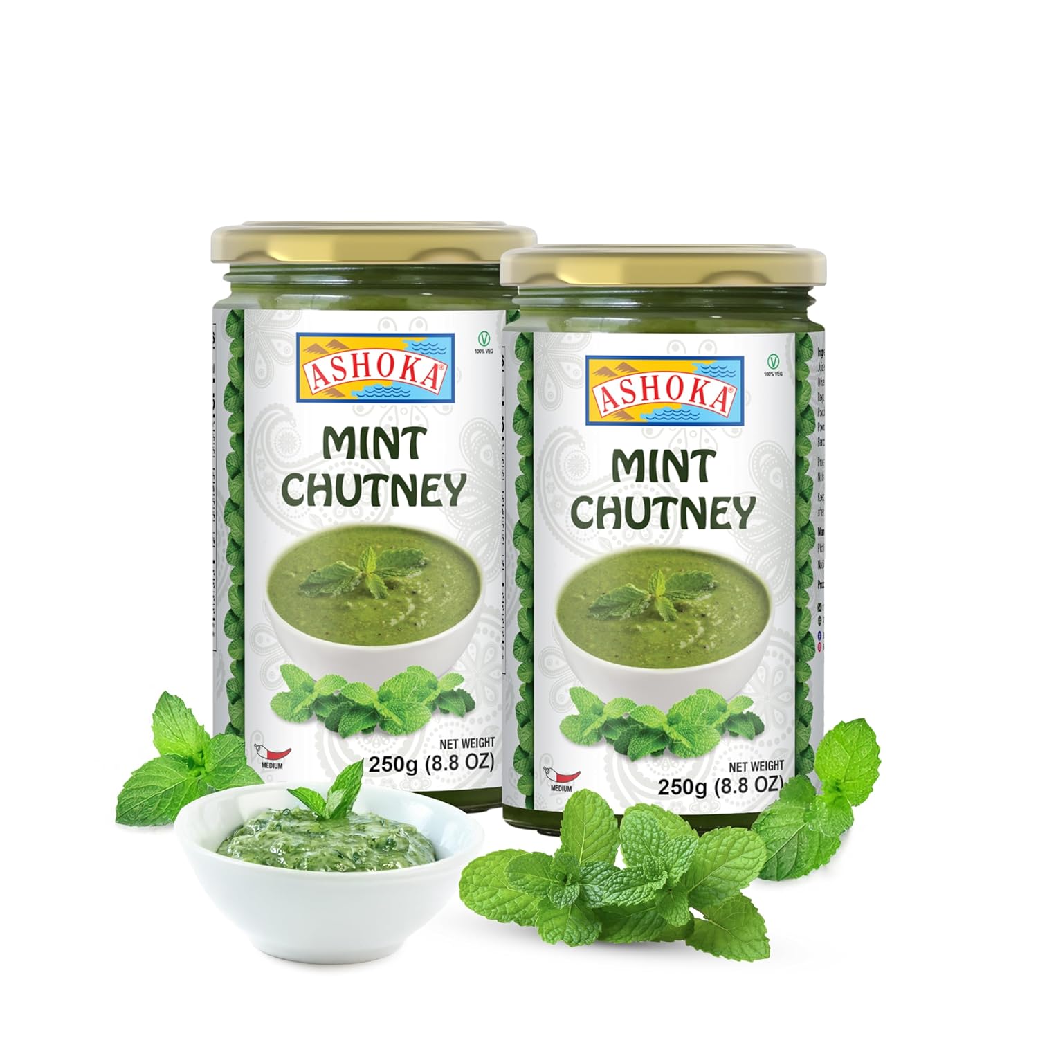 ASHOKA MINT CHUTNEY 300 GM