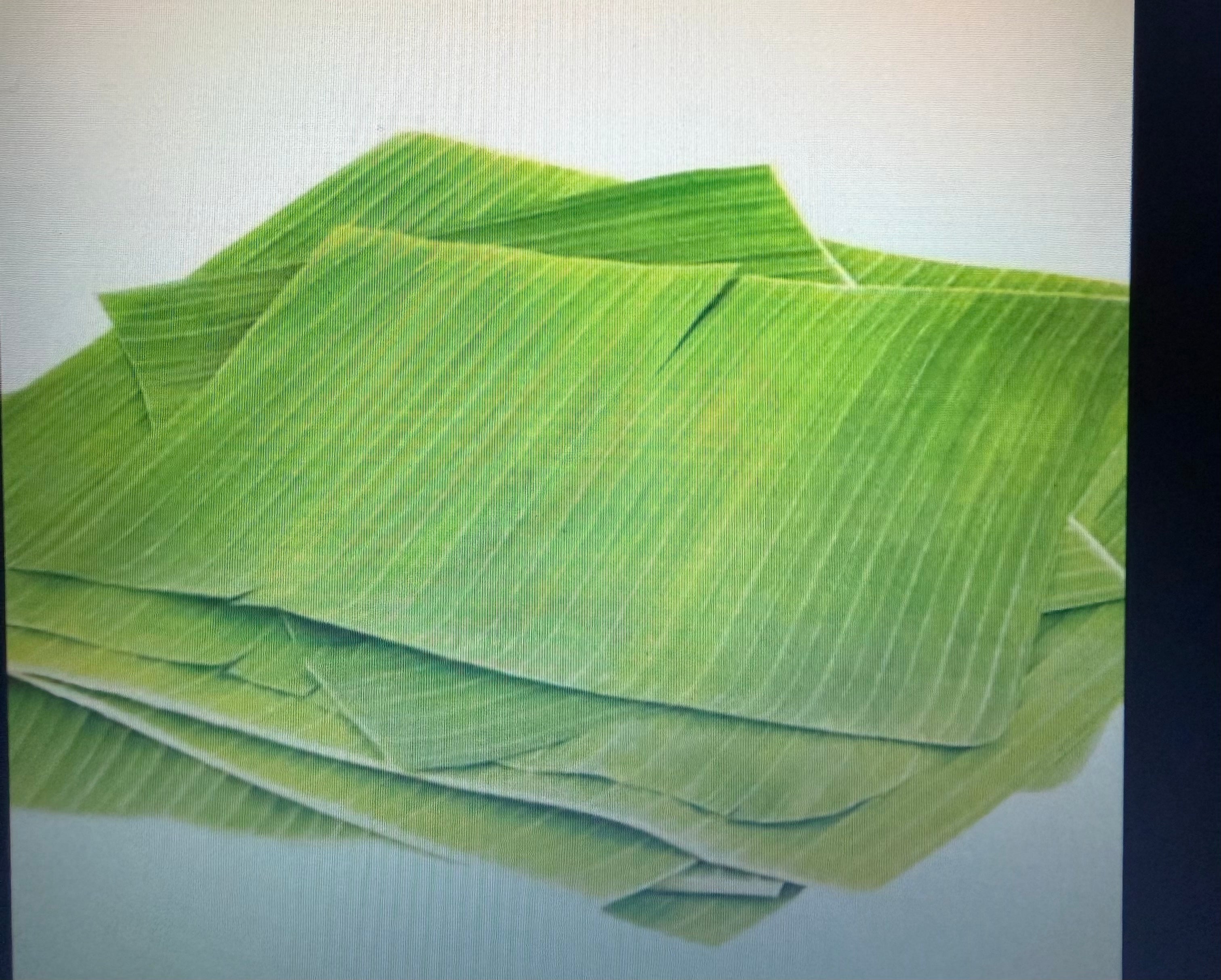 FRESH BANANA LEAVES PER PIECE
