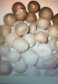 BETEL NUT 100GM